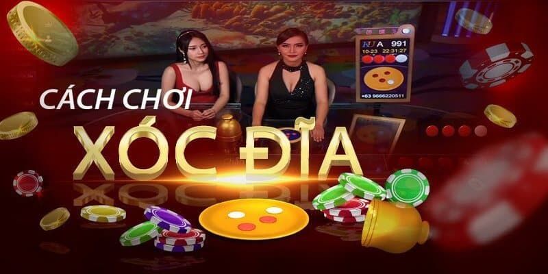 Xóc đĩa online là gì Cách chơi cơ bản và cách đặt cược trong xóc đĩa online