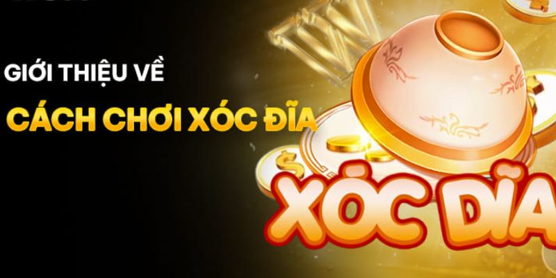 cách chơi xóc đĩa Giới thiệu tổng quan về cách chơi xóc đĩa